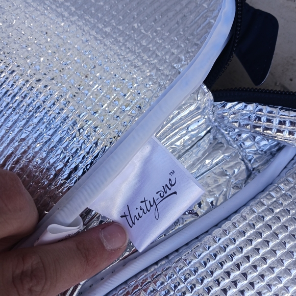 Thirty One 31 Chill-icious Thermal Lunch Bag SILLY STINKER Beetle Bug NEW - Picture 3 of 6